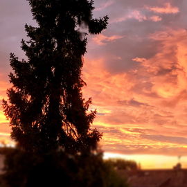 ... 21.08.2020 ... 20.3...
