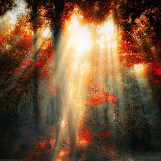 art by Ildiko Neer