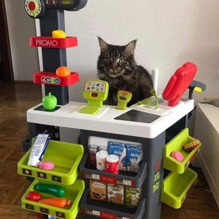 Gummsche ist geläutert...