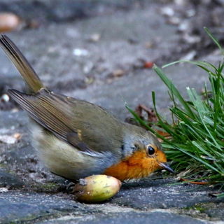 ...ob sich wohl hier ei...