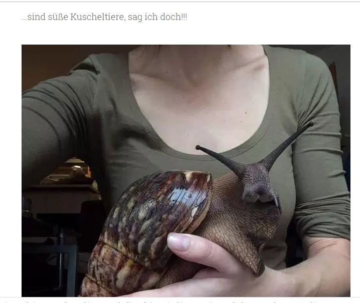 Mein Traum: Achatschnecke (das bin leider nicht ich auf dem Foto!)