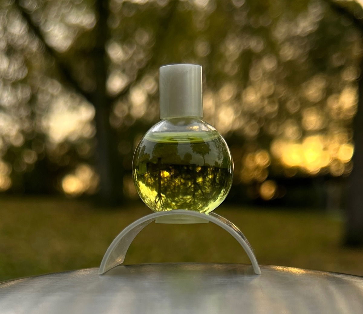 Insomny / Michel Klein / 13.11.2023