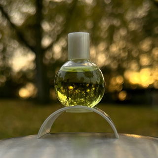 Insomny / Michel Klein ...