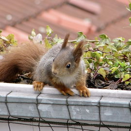 Besuch im Ruhrgebiet au...
