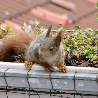 Besuch im Ruhrgebiet au...