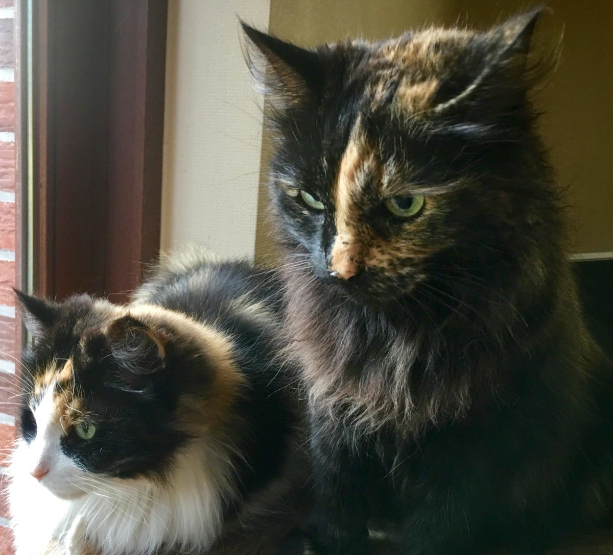 Stine & Minou