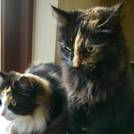 Stine & Minou