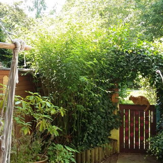 Meine beiden Schützlin...