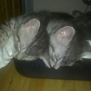 Zusammen ist man wenige...