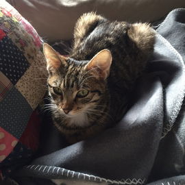 Meine kleine Lissy ist ...