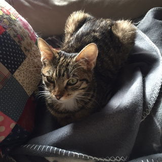 Meine kleine Lissy ist ...