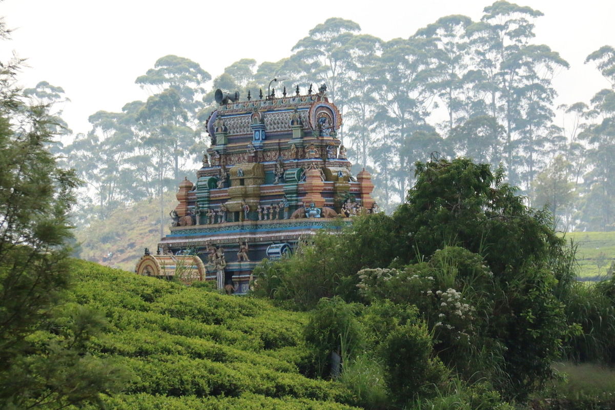 Tempel & Tee in Sri Lanka
