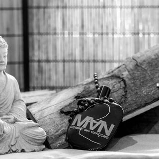 Gegensätze in SW / arr...