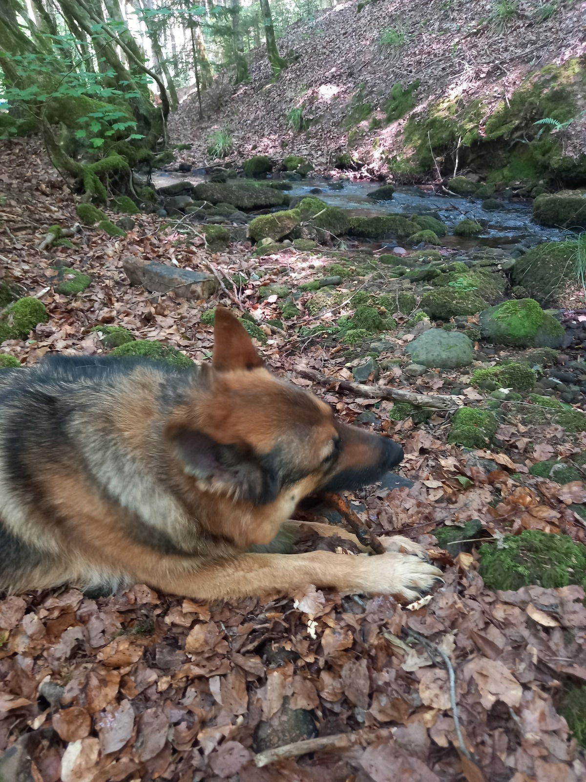 Wasser und Liebe