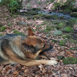 Wasser und Liebe