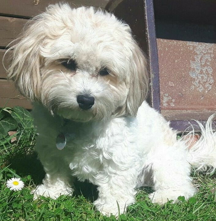 Träumerle...in klein.... öhm... jung