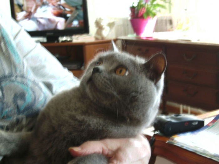 Bei  Muttern auf dem Arm