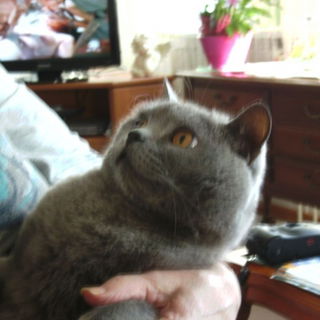 Bei  Muttern auf dem Ar...