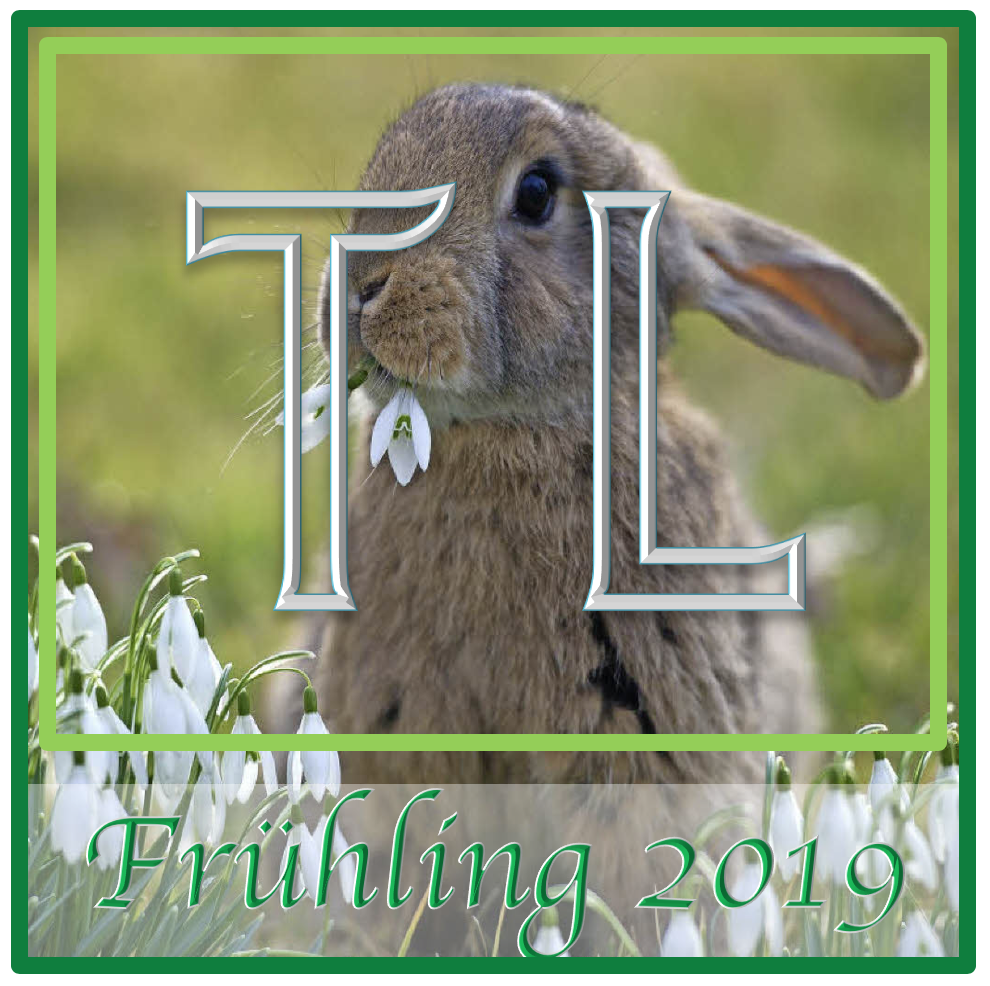 Frühling Toodle 2019