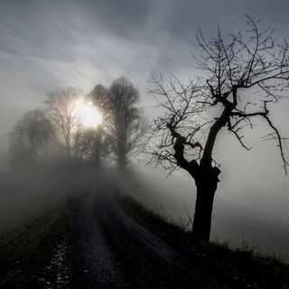 ...der Herbst steht vor...
