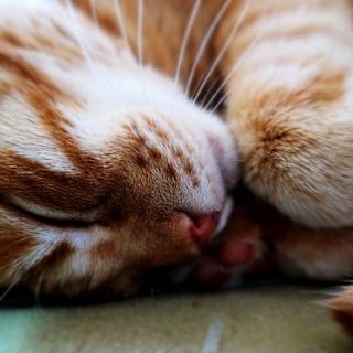 15.4.2023 hat uns unser...