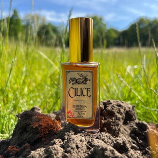 Cilice / Euphorium Broo...