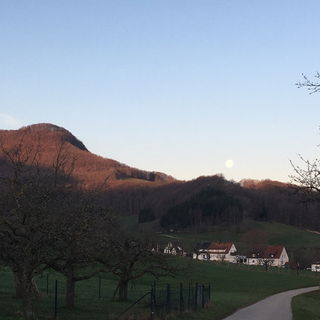 Guten Morgen Streuobstw...