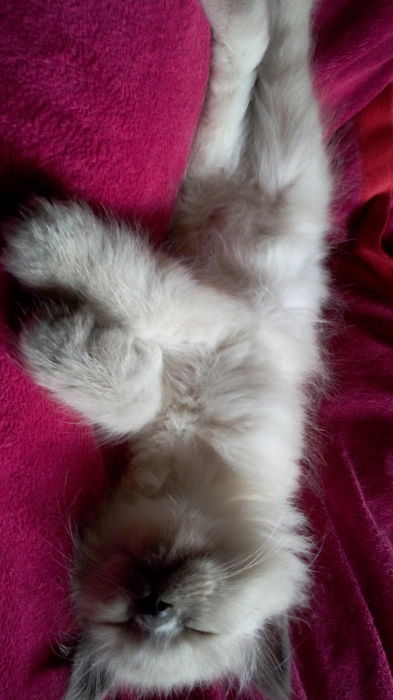 Herr Frodo ist eingezogen