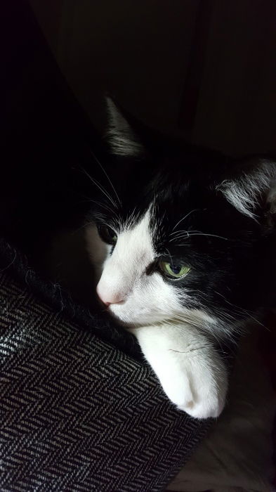 Ich überlegte ihm einen Gin und die Pfeife anzubieten