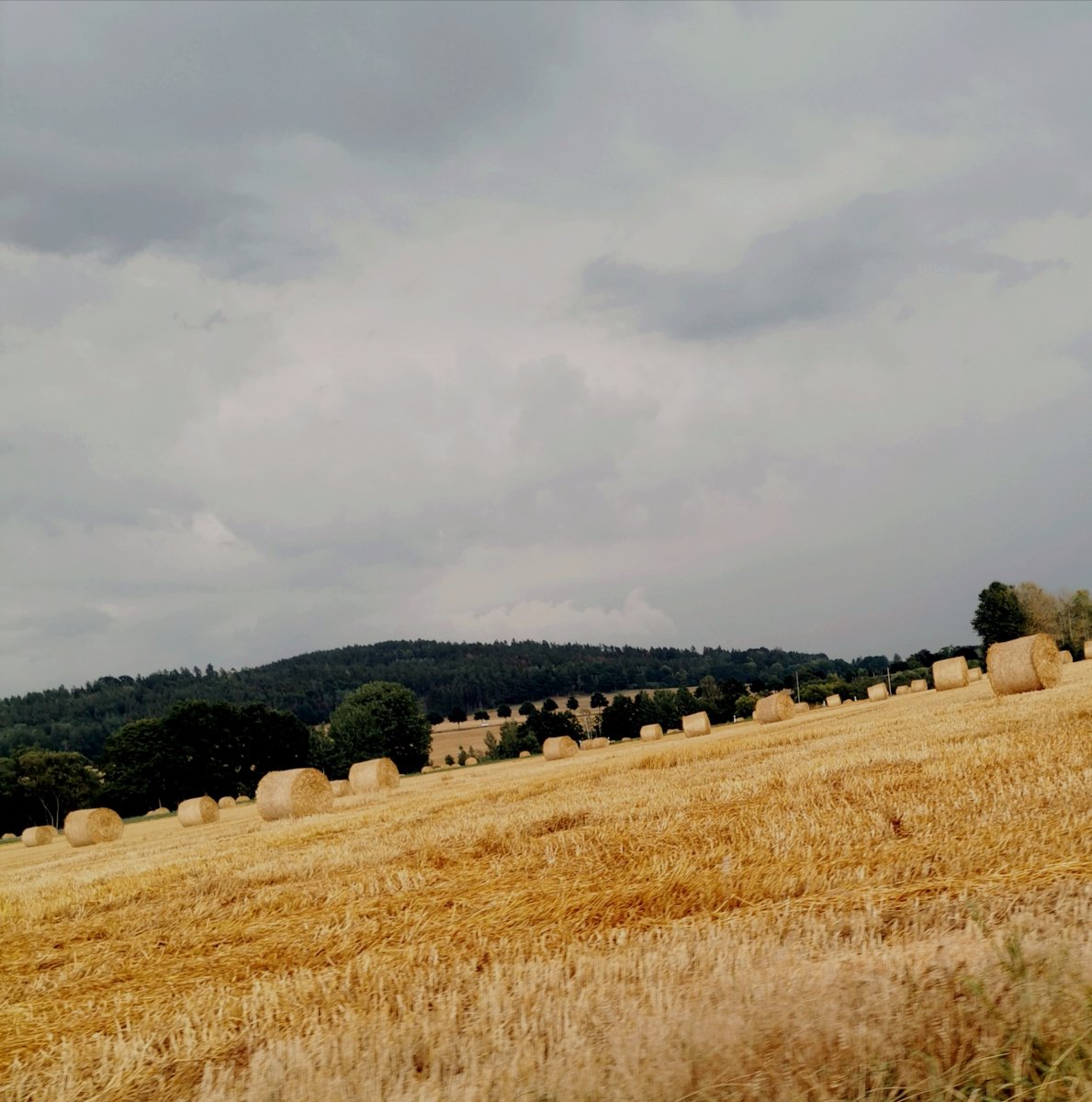 "Jour de Fête" - genau DAS assoziiere ich bei dem Duft, meine geliebten Dorfkindheuballen