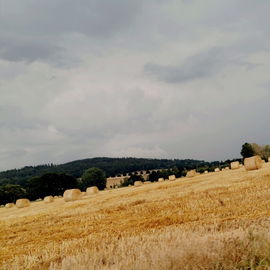 "Jour de Fête" - genau...
