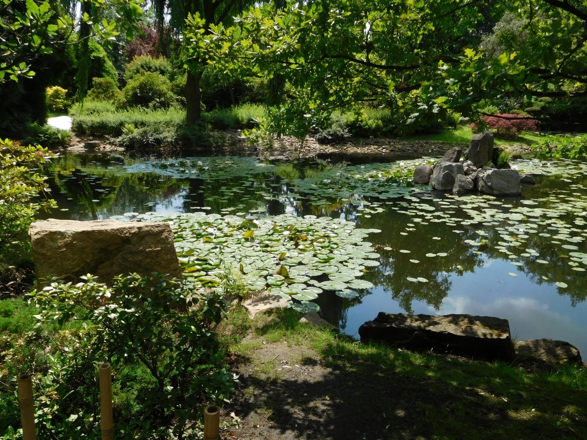 Japanischer Garten in Wroclaw