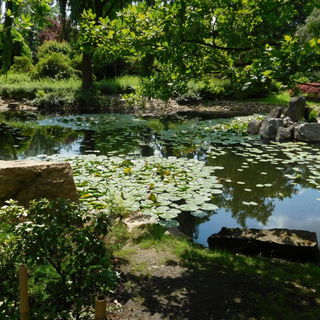 Japanischer Garten in W...