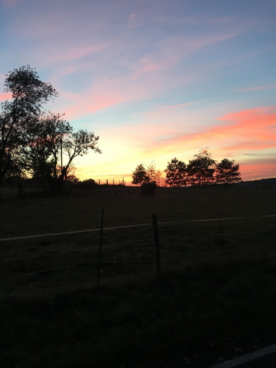 Herbstlicher Abendspaziergang
