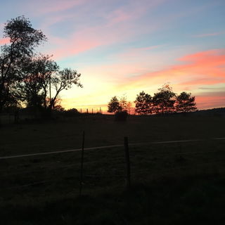 Herbstlicher Abendspazi...