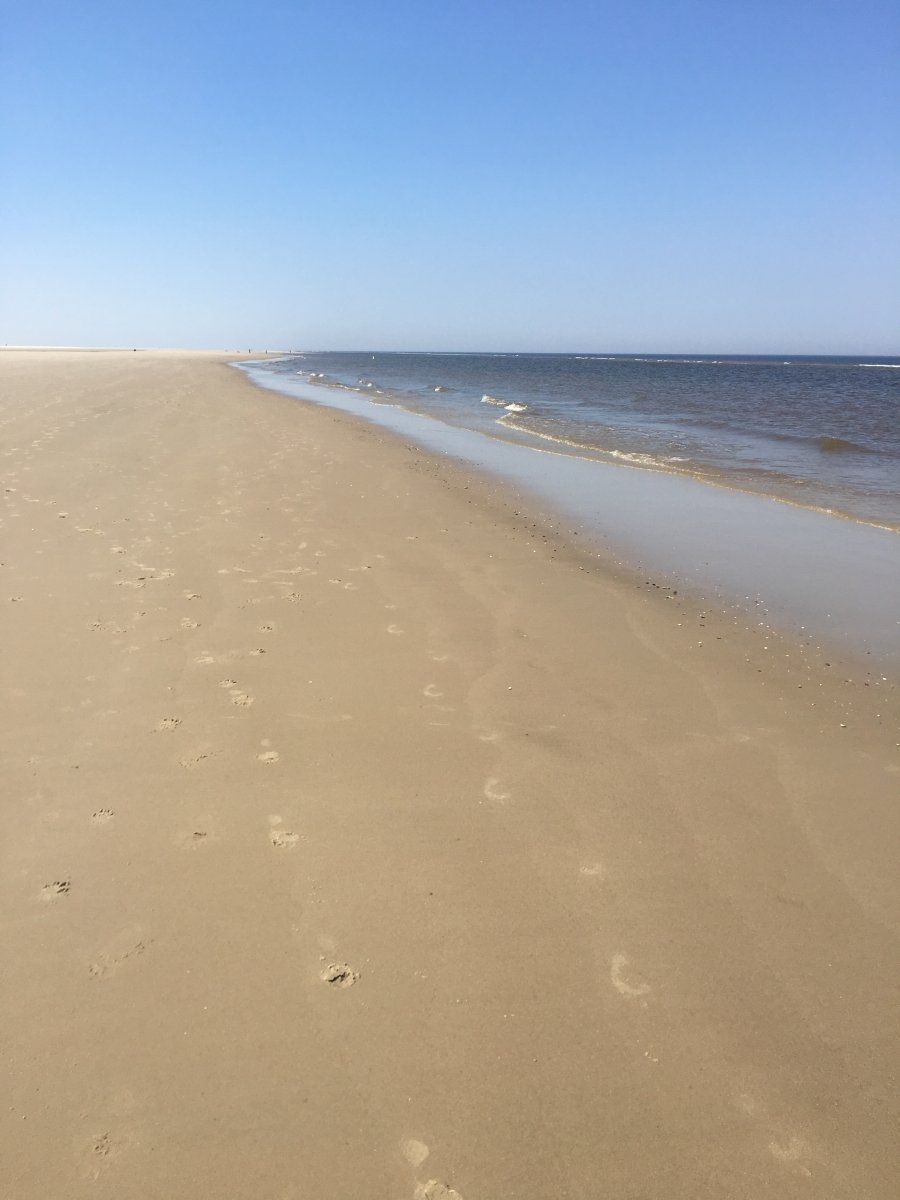 Borkum 2018
