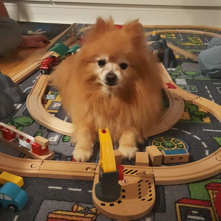 Mach's gut, kleines Tie...