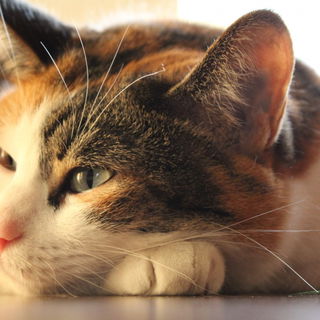 Unser Sonnenschein..