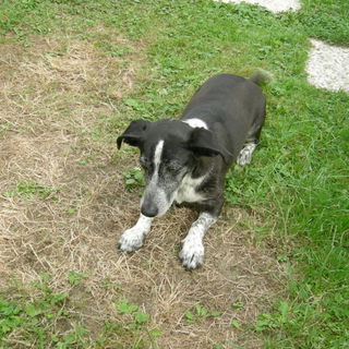 Unser Kuschelmonster Lu...