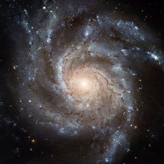 So könnte unsere Milch...