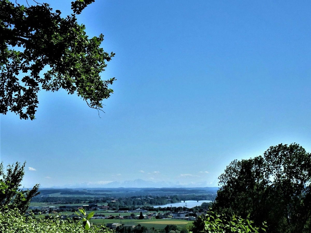 Sommer .. Innblick