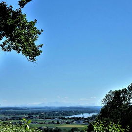 Sommer .. Innblick