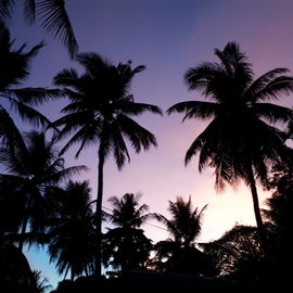 Moalboal