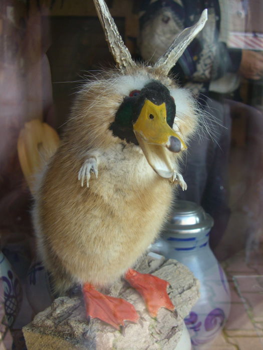 Noch ein Wolpertinger