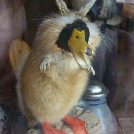 Noch ein Wolpertinger...