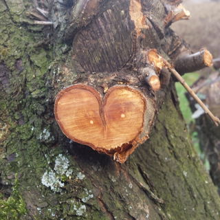 Holzabschlag mit Herz.....