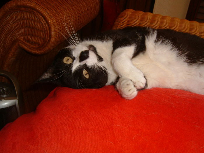 Juli, die ältere Dame