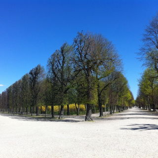 Es kommt der Mai und ne...