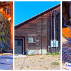 Visiting the Lavender C...