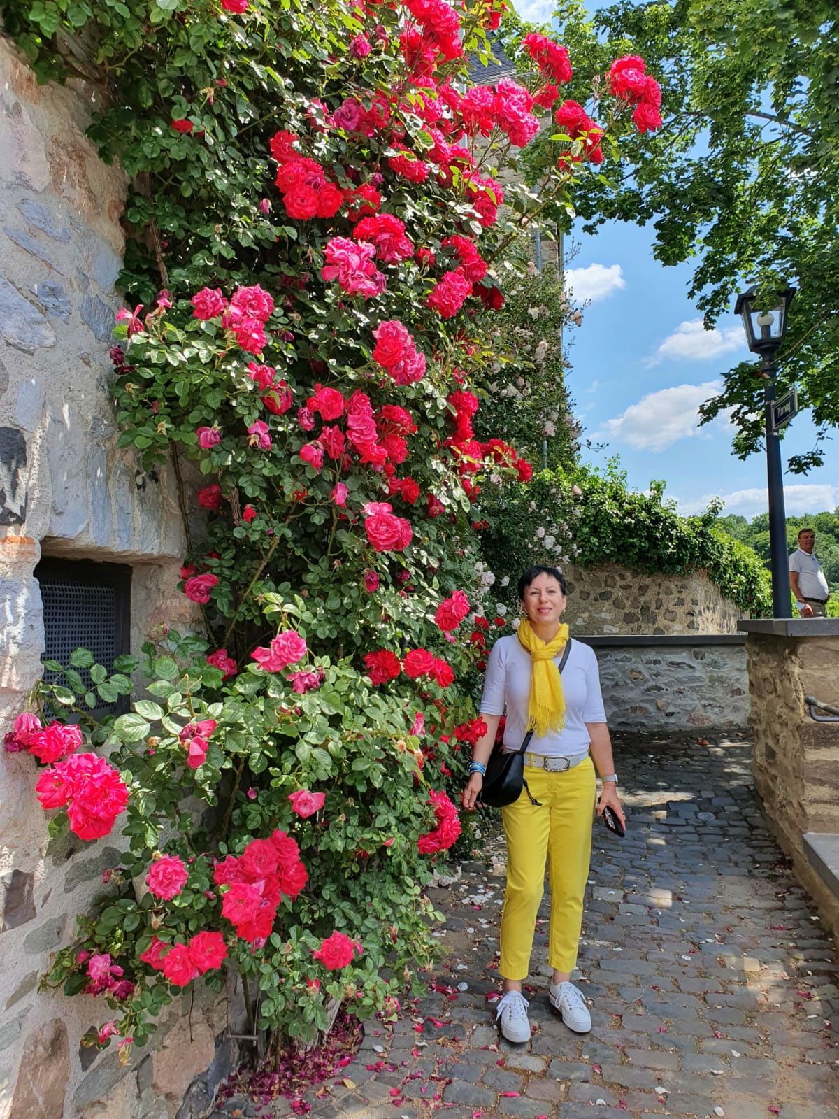 Meine Lieblingsblumen